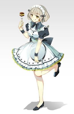 二次元服饰种类？女仆 武器 acg