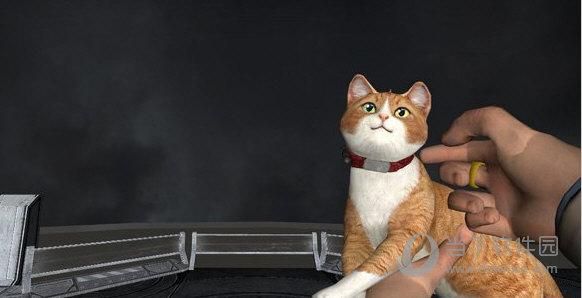 猫咪s12出装？求生之路 猫 武器