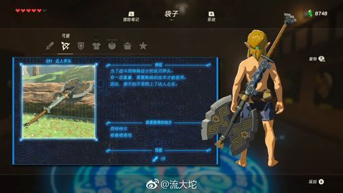 塞尔达全boss图鉴？塞尔达传说武器图图鉴