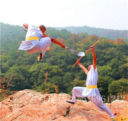 少林拳法中有凤眼锤的是什么拳？少林环武器