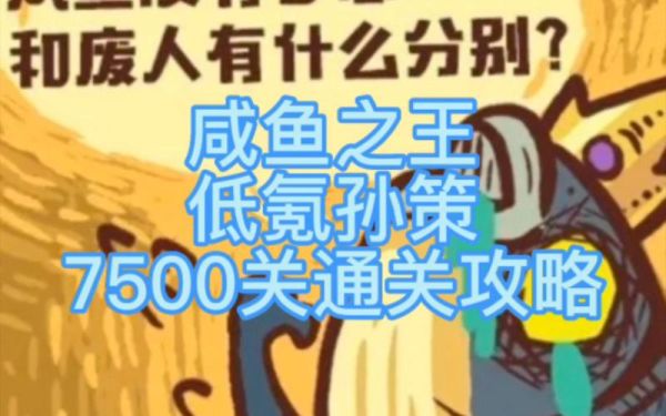 咸鱼之王孙策用什么玩具？玩具的武器装备