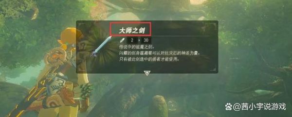 大师之剑为什么没有攻击力？武器大师的防御