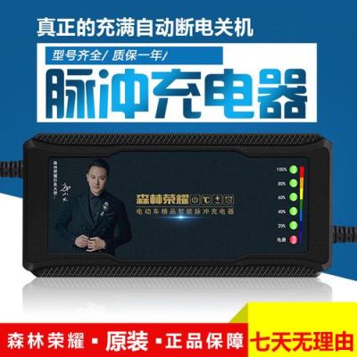 两轮电动车的充电器有没有定位？王者荣耀武器黑笔淘宝