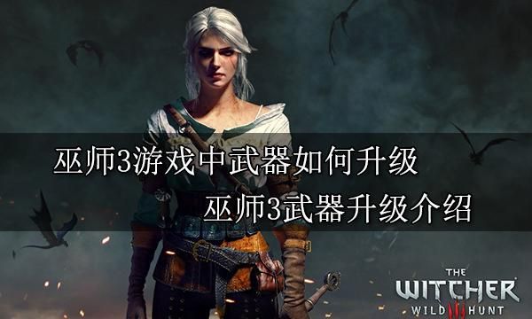 巫师3怎么升级？巫师3武器去哪升级快