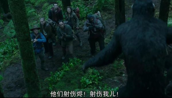 人与动物大战的电影都是有哪些？猩球崛起 人类武器