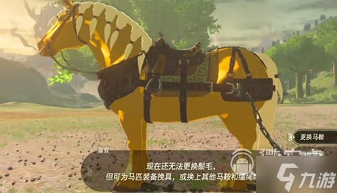 塞尔达国王之泪牵引马具怎么用？gta运输武器
