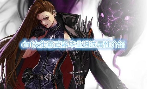 dnf女街霸增幅力量还是智力？dnf女街霸武器最好2017