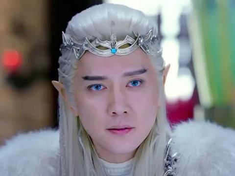 《幻城》里白虎护法掌管哪个方位，专职什么来着？（幻城的武器）