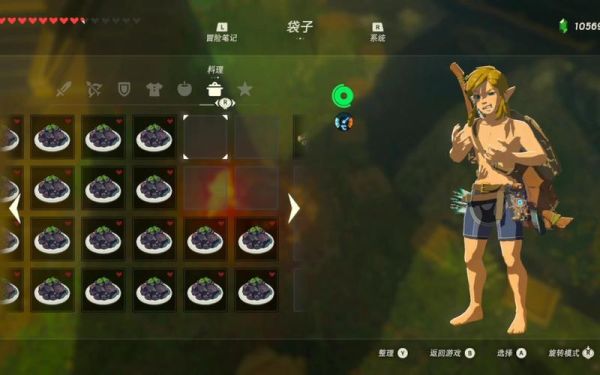 塞尔达传说荒野之息哪里能放武器？（荒野之息哪里能存武器）