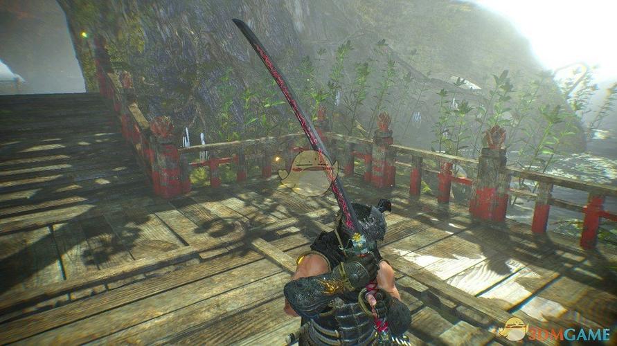 switch忍者龙剑传哪个版本好玩？（仁王dlc3新武器）