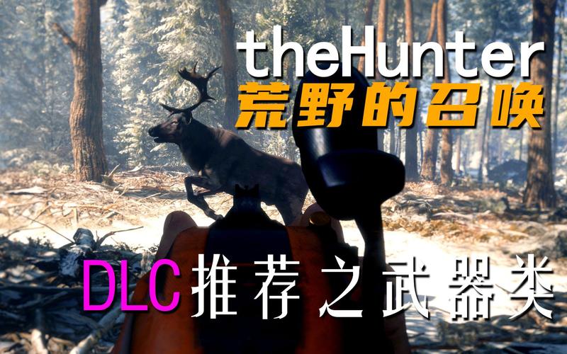 thehunter怎么开始游戏？（the hunter 按1没武器）