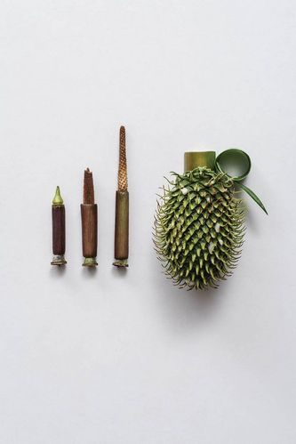 植物武器有什么？（未来的植物武器图）