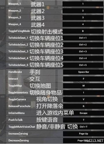 绝地求生炼狱蝰蛇2000压枪宏怎么设置？（7.25武器战宏）