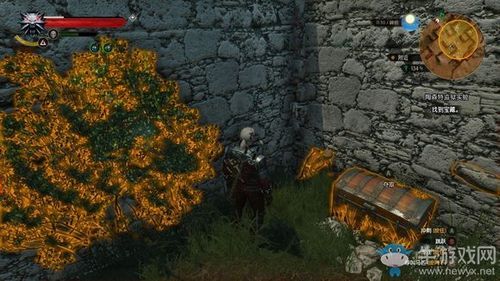 巫师3鹤山怎么刷？（死亡爱丽丝首抽武器）