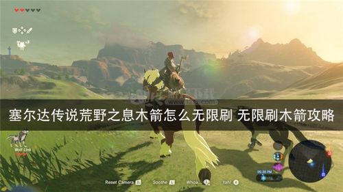 塞尔达多了一个木箭格子怎么弄掉？（塞尔达 扔掉武器）