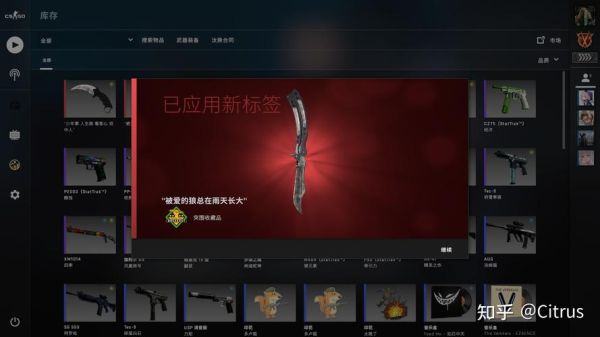 csgo如何给武器改成中文名字？（武器装备命名规定）