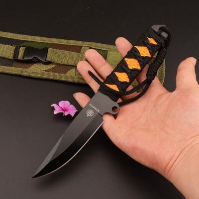 野外防身最佳冷兵器？（隐藏的防身武器）