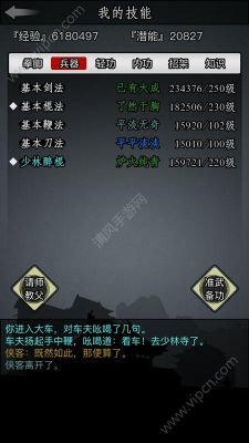 放置江湖剑类武器伤害排名？（放置江湖最强的武器）