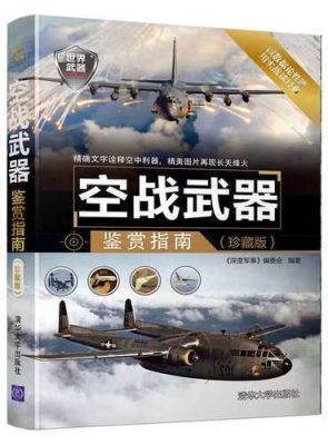 什么是空战的有效武器？（空战武器大揭秘）
