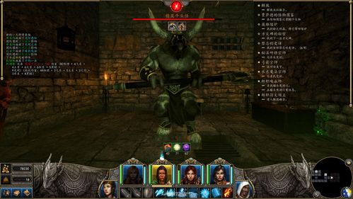 魔法胶玩法？（魔法门10双手武器专家）