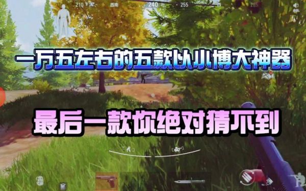 暗区突围s5囤什么？（wow s5武器）