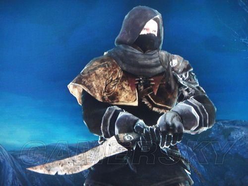 80级盗贼武器涂什么毒？（黑暗之魂2 毒武器）
