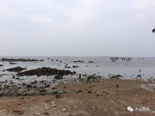 东楮岛赶海去哪？（被污染的渔村武器）