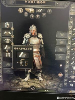 骑马与砍杀2哪个老婆装备好？（dnf媳妇是什么武器）