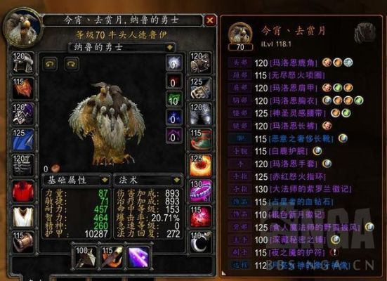鸟德pvp装备怎么配？（5.4鸟德pvp武器）
