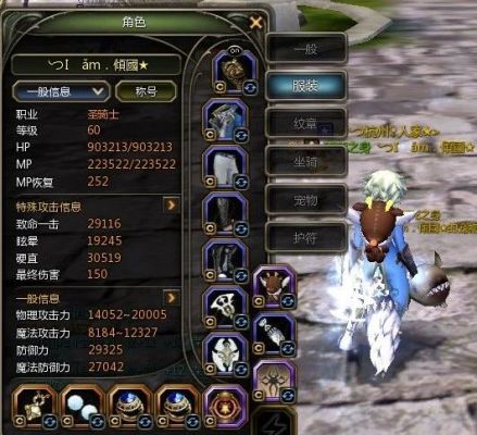 龙之谷最强职业选择推荐？（龙之谷圣骑士武器）