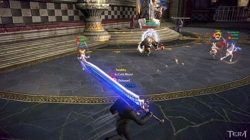 TERA怎么样好玩吗？（tera50级最好的武器）