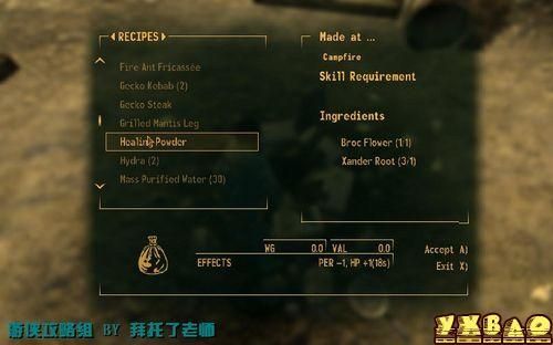 辐射新维加斯武器秘籍？（辐射新维加斯收回武器）