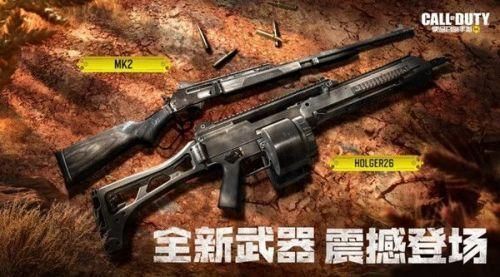 荒野的召唤最值得购买的枪？（召唤最好的武器）