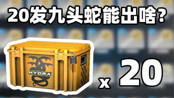 九头蛇武器箱能开出什么？（武器 九头蛇）
