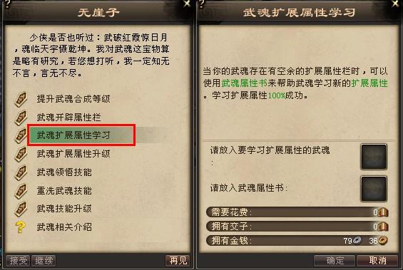 武魂扩展属性怎么改？（武魂武器怎么强化）