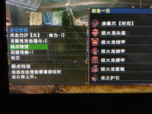 怪物猎人p3各类武器的优缺点？（怪物猎人3有什么武器）