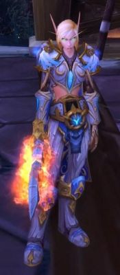 圣骑士守备官的壁垒如何幻化？（魔兽世界圣骑士武器幻化）