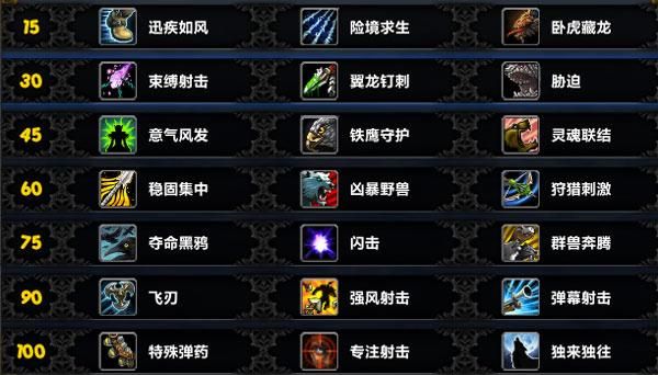 魔兽世界死骑圣骑士猎人潜行者都学哪两个专业技能好？（6.0lr武器fm）