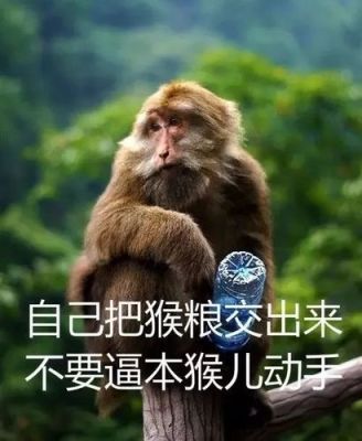 郭德纲的报武器的台词谁有，带刀的，带刺的，带峨眉串的，要全啊？（武器台词）