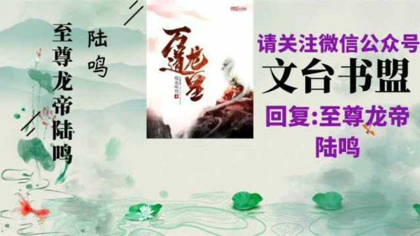 陆鸣陆瑶小说有多少集？（龙帝武器升级）