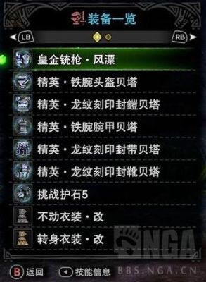 怪物猎人2g铳枪个人心得？（怪物猎人2g武器资料）