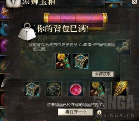 激战2黑狮宝箱东西会变吗？（激战2武器颜色）