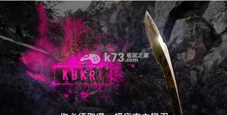 csgonms印花叫啥？（孤岛惊魂4什么是签名武器）
