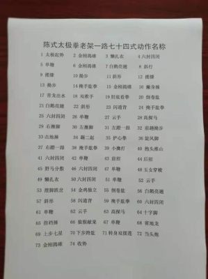 陈式老架74式太极拳完整口诀教学（6.2恶毒武器副属性单手剑）