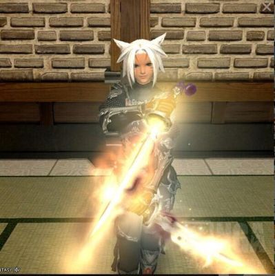 ff14忍者装备为什么不共用？（ff14忍者武器）