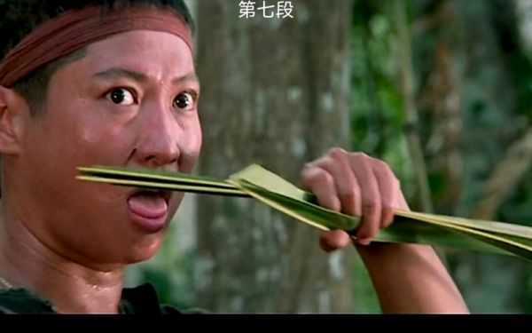 洪金宝用叶子当武器的电影？（武器是树叶的小说）