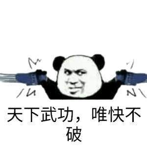 天下武功,无坚不摧,唯快不破，是什么意思？（天下武器 无坚不摧 唯快不破）