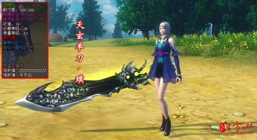 天下3天域武器升级？（天下3天域武器3代外观）
