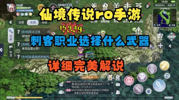 仙境传说爆刺客武器装什么卡片好？（仙境传说 rg 武器）