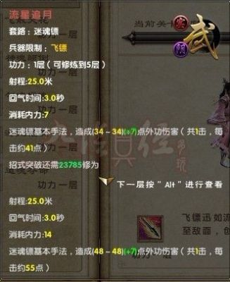 九阴真经如何给武器加内功属性？（九阴真经怎么穿武器）